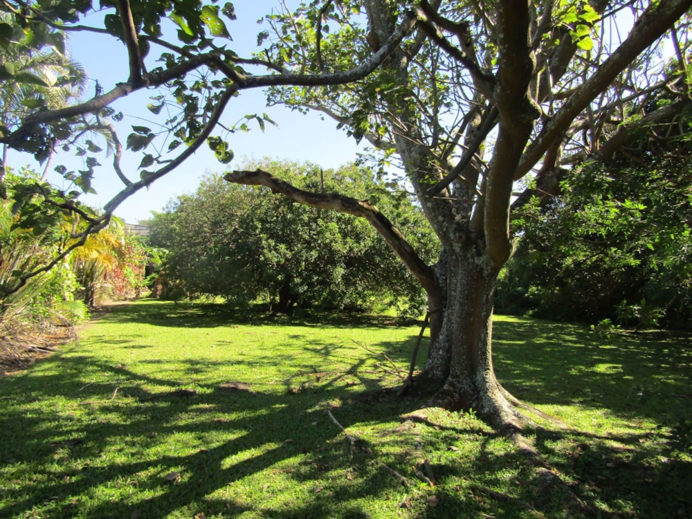 Residential vacant land for sale in Port Edward - 1PD1528634