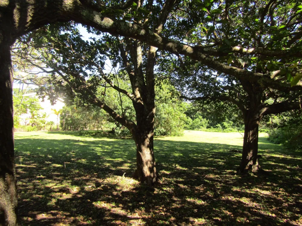 Residential vacant land for sale in Port Edward - 1PD1528634
