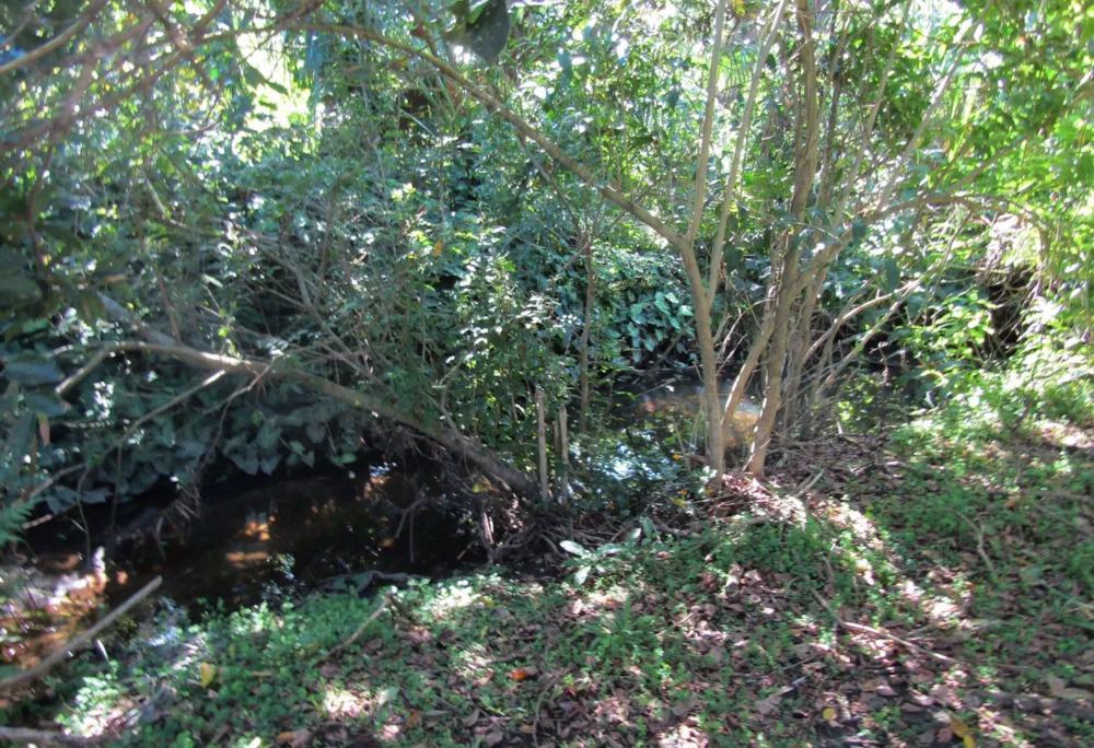 Residential vacant land for sale in Port Edward - 1PD1528634