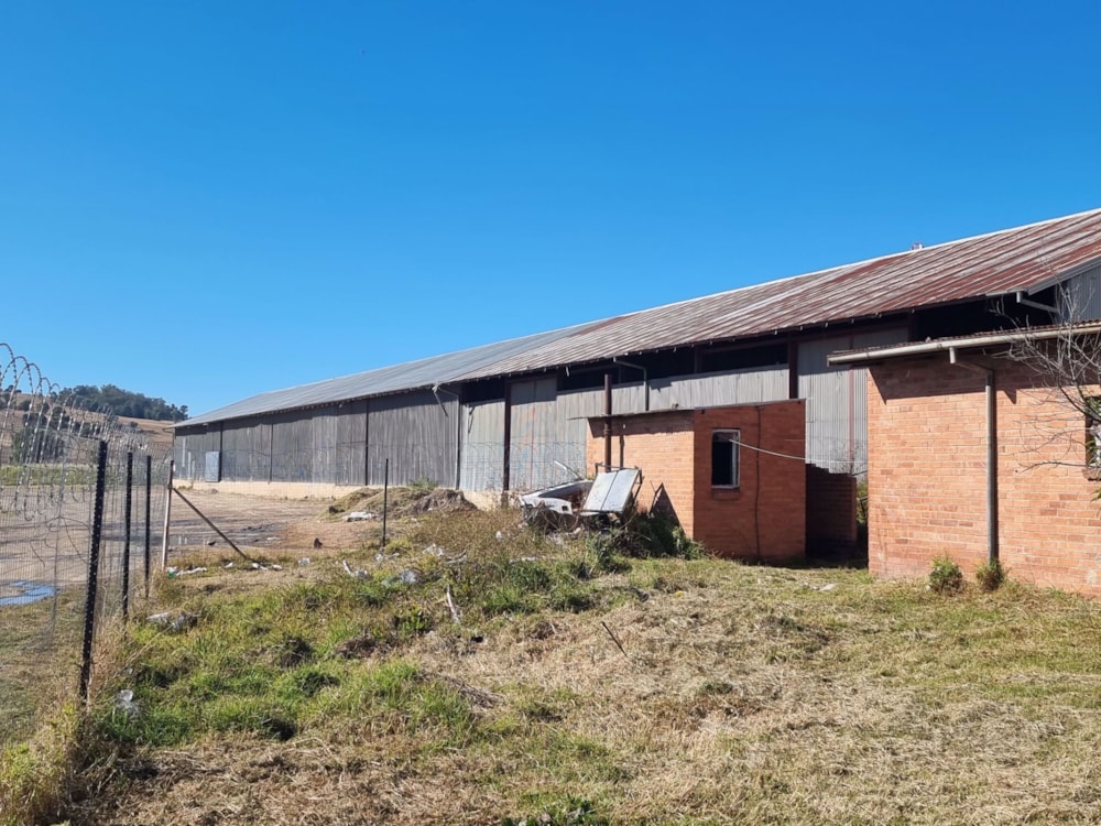 Commercial industrial property to rent in Matatiele, Eastern Cape - 1UB1649247 Commercial industrial property to rent in Matatiele, Eastern Cape - 1UB1649247