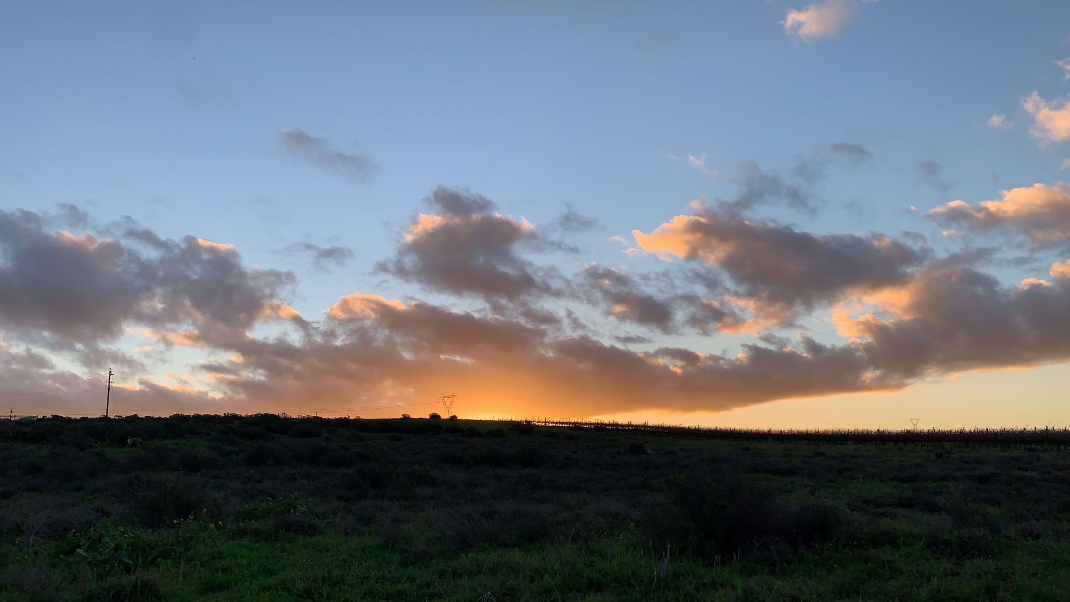 Farm vacant land for sale in Klipfontein A H - 1MS1529783