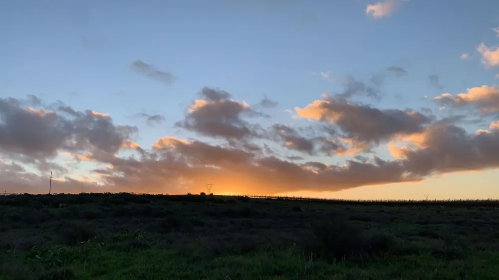 Farm vacant land for sale in Klipfontein A H - 1MS1529783 Farm vacant land for sale in Klipfontein A H - 1MS1529783