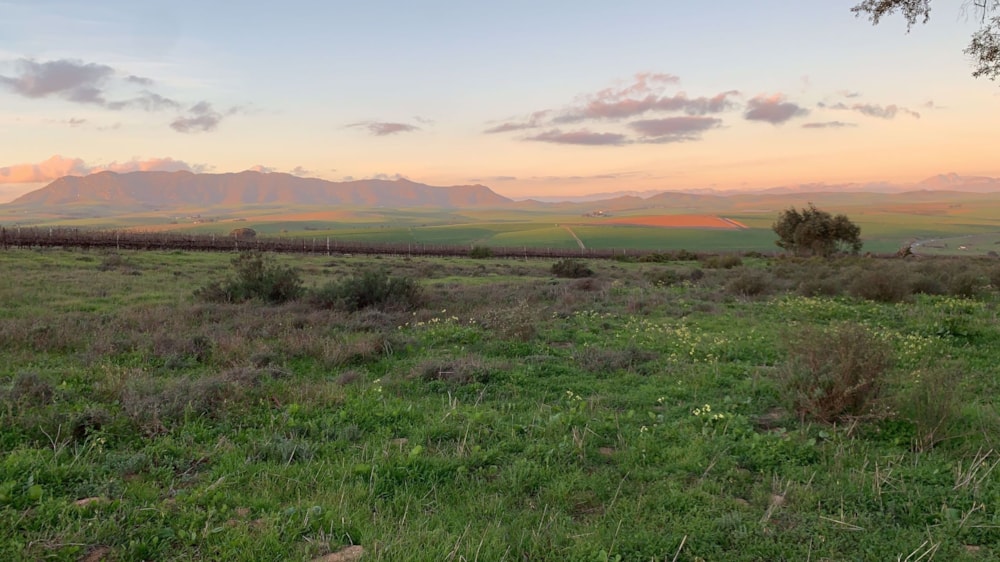 Farm vacant land for sale in Klipfontein A H - 1MS1529783