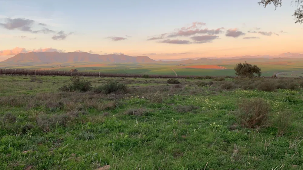 Farm vacant land for sale in Klipfontein A H - 1MS1529783 Farm vacant land for sale in Klipfontein A H - 1MS1529783