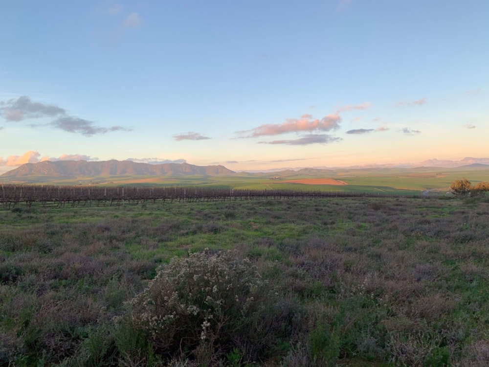 Farm vacant land for sale in Klipfontein A H - 1MS1529783