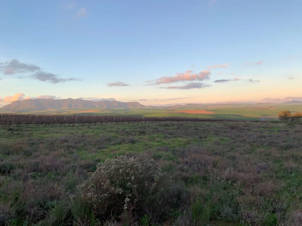 Farm vacant land for sale in Klipfontein A H - 1MS1529783 Farm vacant land for sale in Klipfontein A H - 1MS1529783