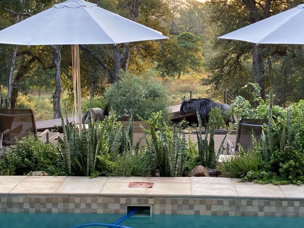 House to rent in Leadwood - 1HS1673028