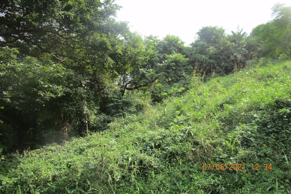 Residential vacant land for sale in Pennington - 1SI1249735