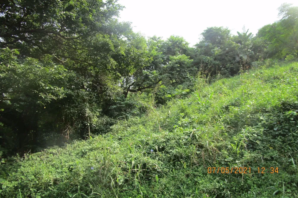 Residential vacant land for sale in Pennington - 1SI1249735 Residential vacant land for sale in Pennington - 1SI1249735