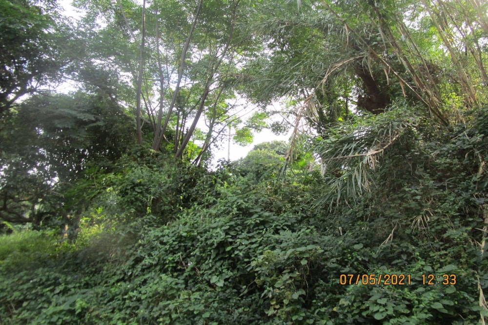 Residential vacant land for sale in Pennington - 1SI1249735