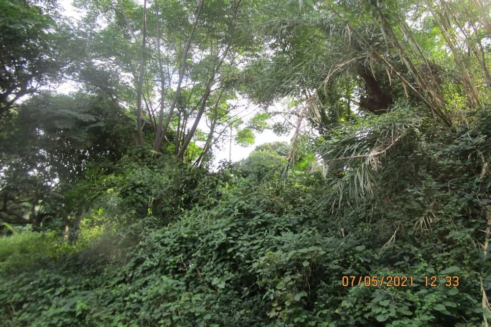 Residential vacant land for sale in Pennington - 1SI1249735 Residential vacant land for sale in Pennington - 1SI1249735