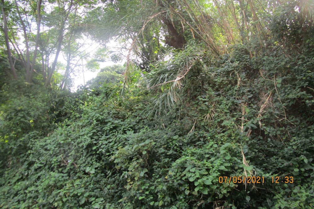 Residential vacant land for sale in Pennington - 1SI1249735