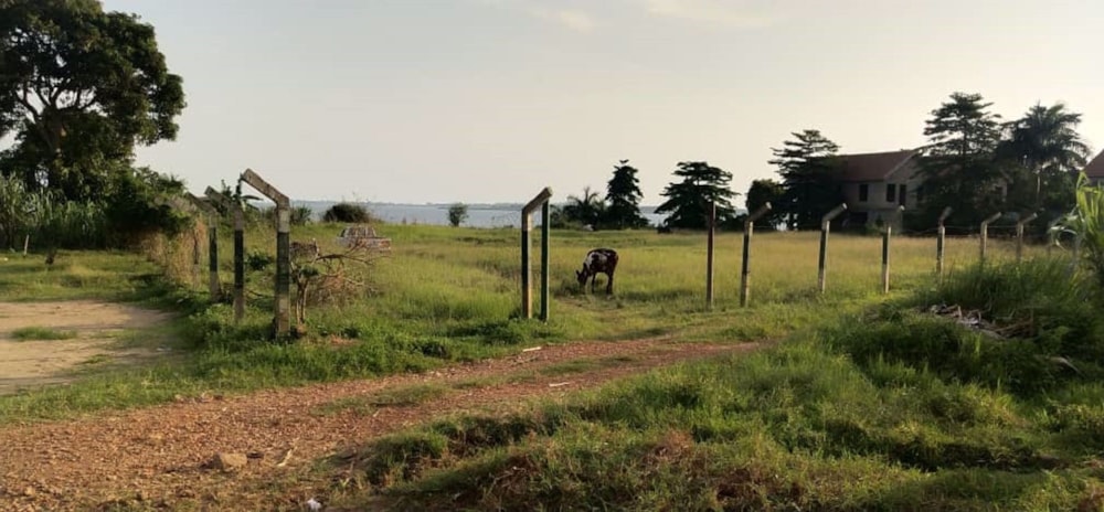 Vacant land for sale in Kigo, Uganda - 3UG1532081 Vacant land for sale in Kigo, Uganda - 3UG1532081
