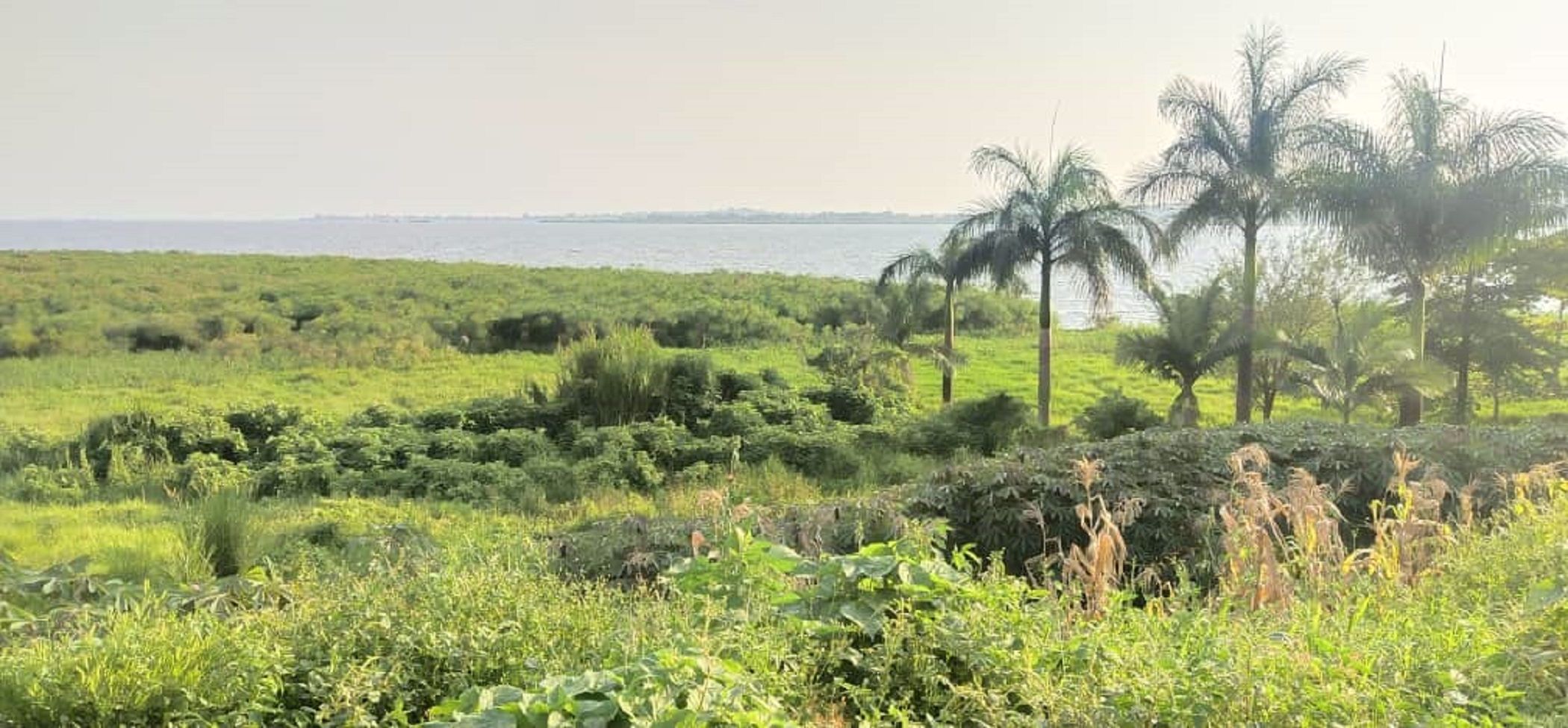 Vacant land for sale in Kigo, Uganda - 3UG1532081