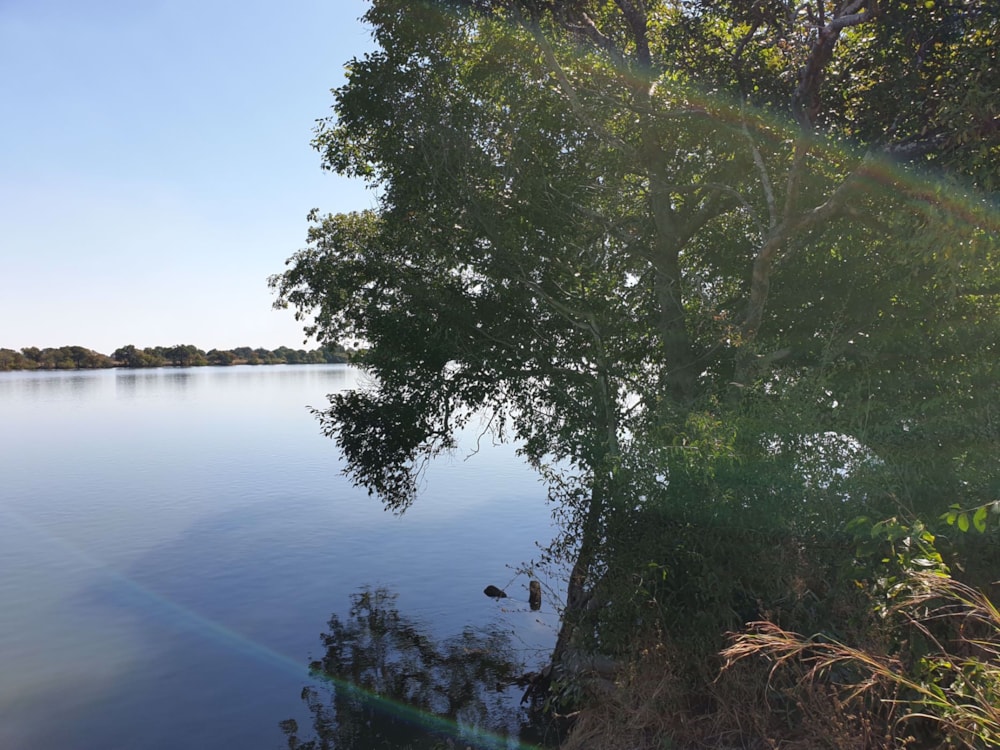 Vacant land for sale in Mumbwa, Zambia - 3ZA1579777