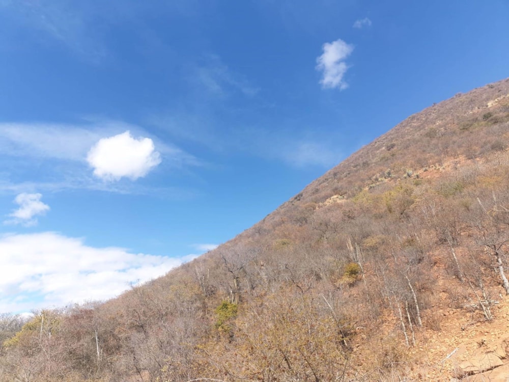 Farm vacant land for sale in Groblersdal Rural - 1MD1533147 Farm vacant land for sale in Groblersdal Rural - 1MD1533147