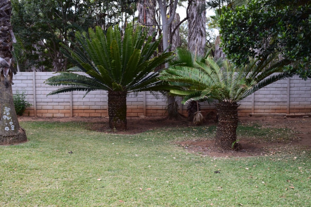 Smallholding for sale in Rustenburg - 1RU1533521