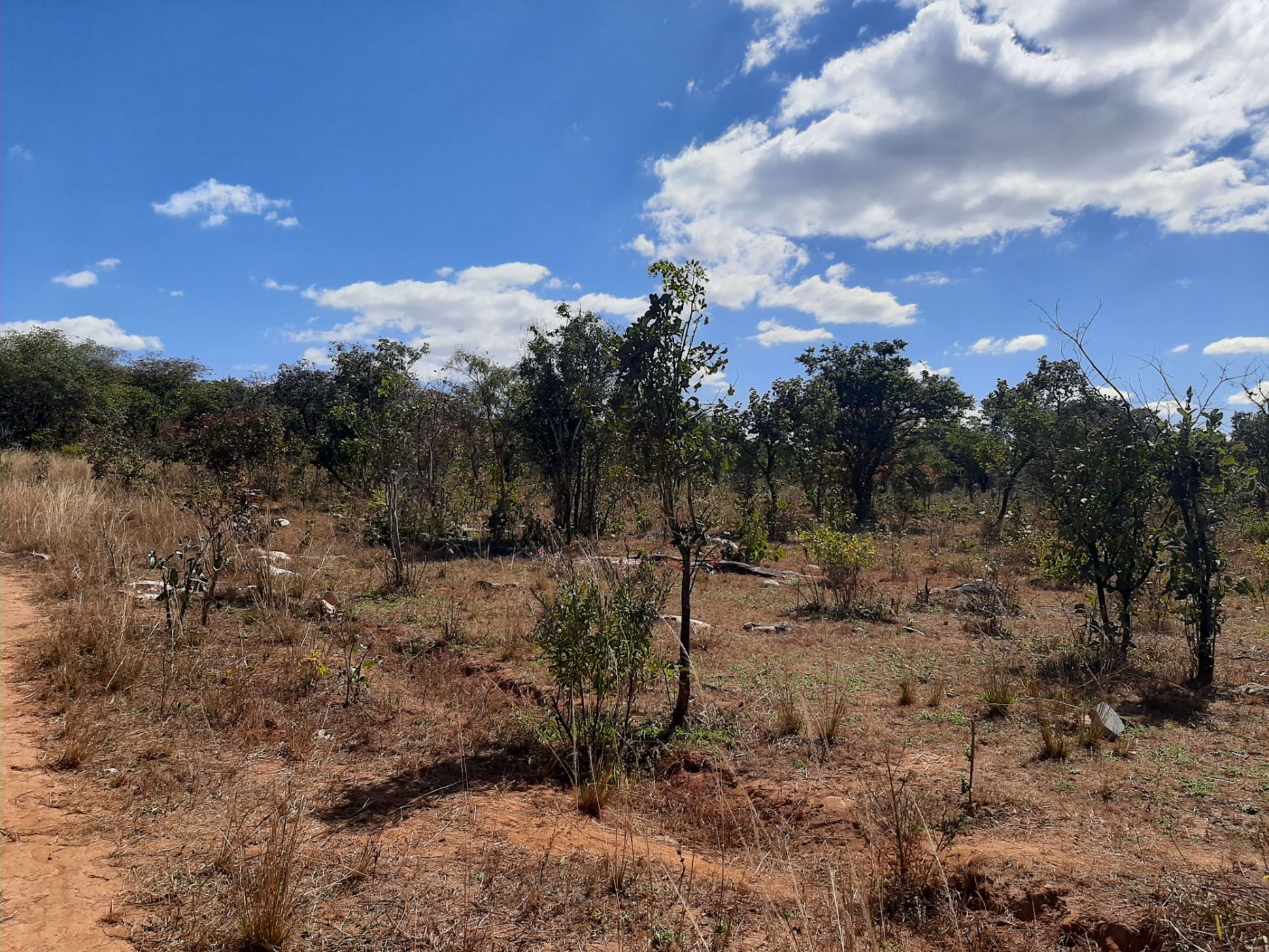 Vacant land for sale in Leopards Hill, Zambia - 3ZA1533415