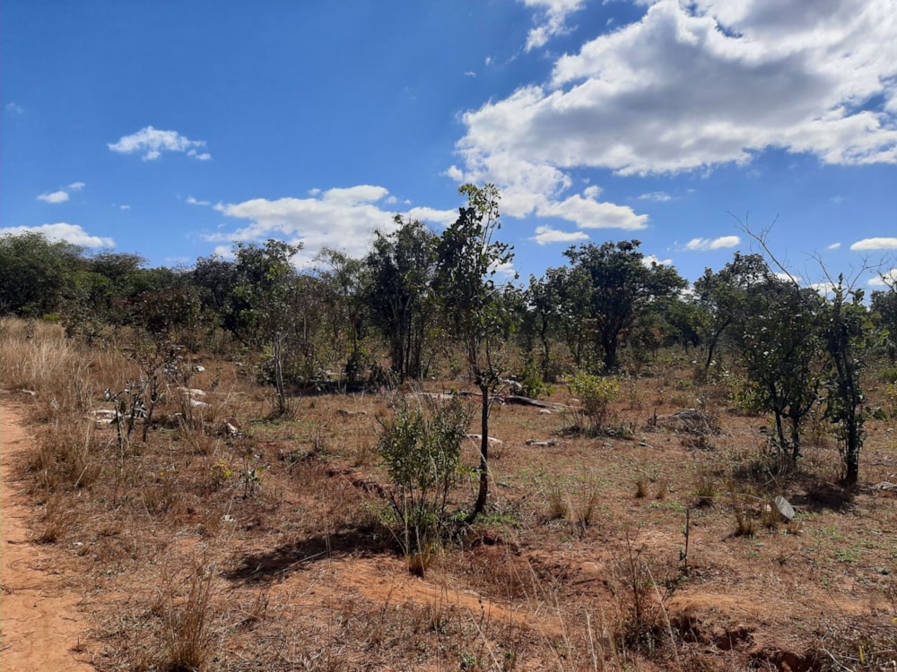 Vacant land for sale in Leopards Hill, Zambia - 3ZA1533415