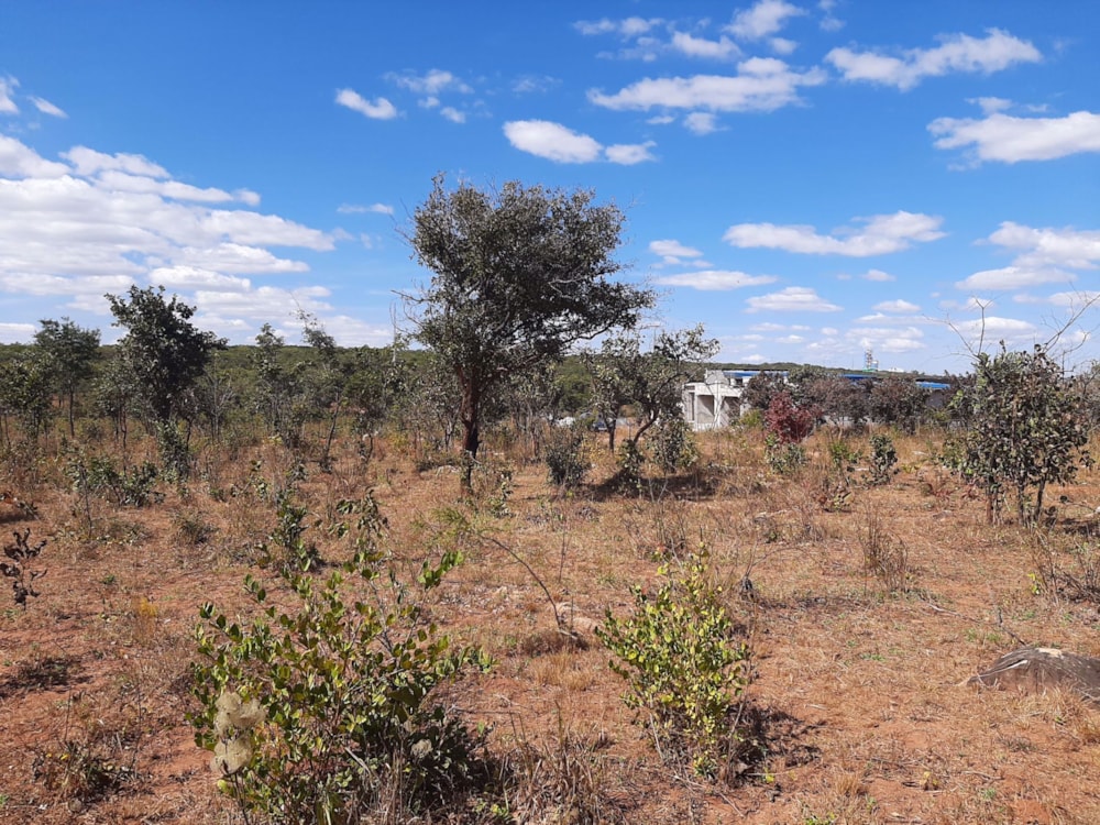 Vacant land for sale in Leopards Hill, Zambia - 3ZA1533415