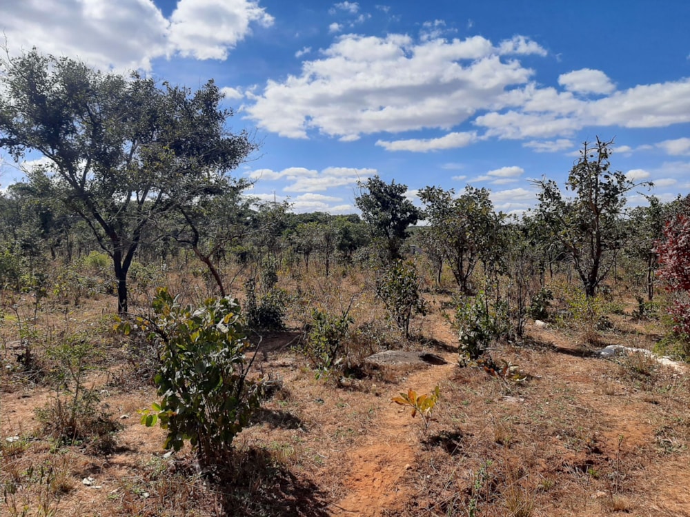 Vacant land for sale in Leopards Hill, Zambia - 3ZA1533415