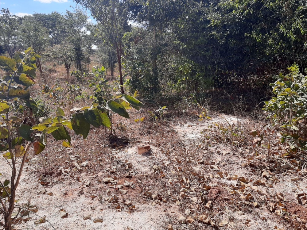 Vacant land for sale in Leopards Hill, Zambia - 3ZA1533415