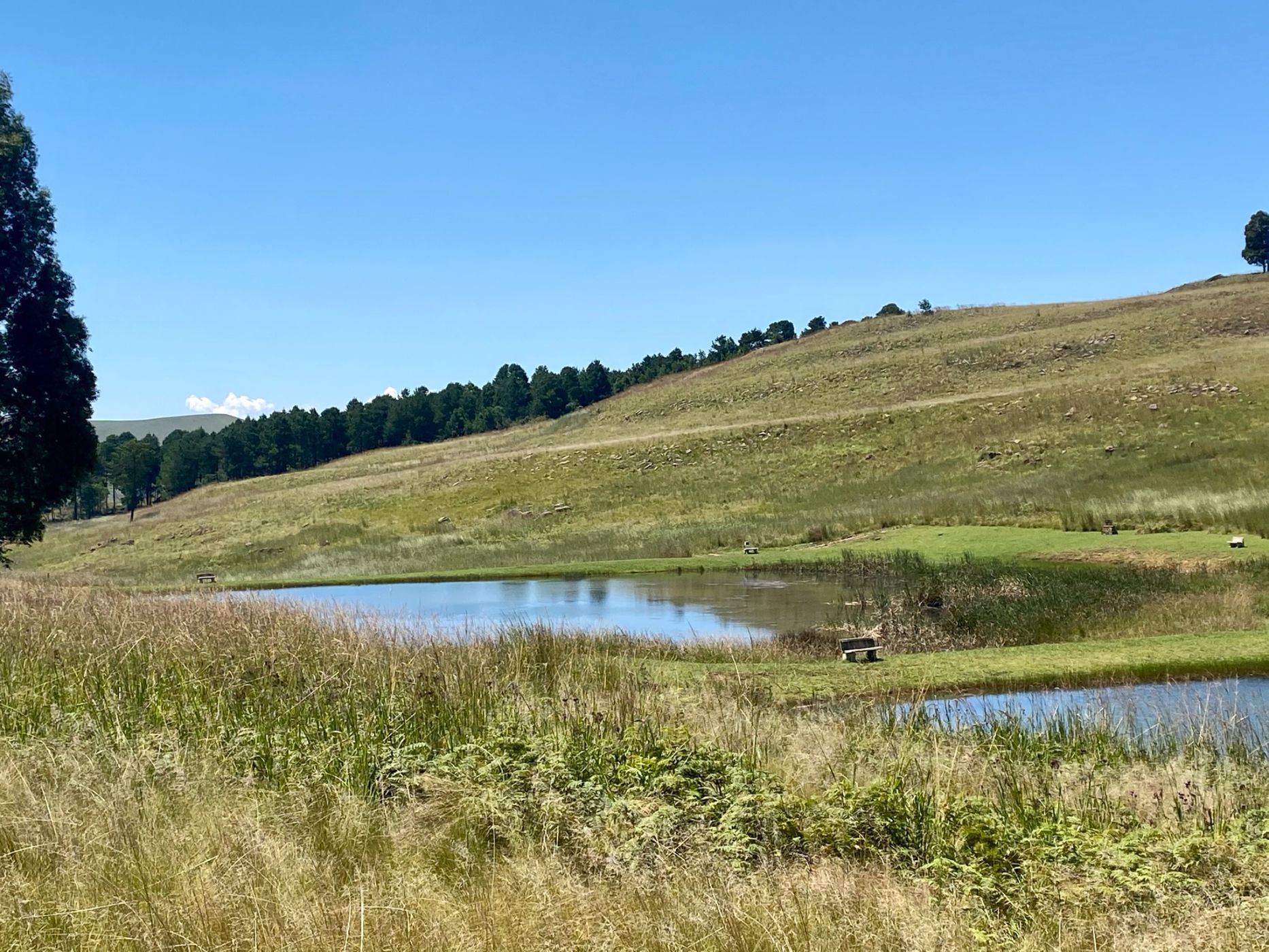 Vacant land sold in Dullstroom - 1DS1534208