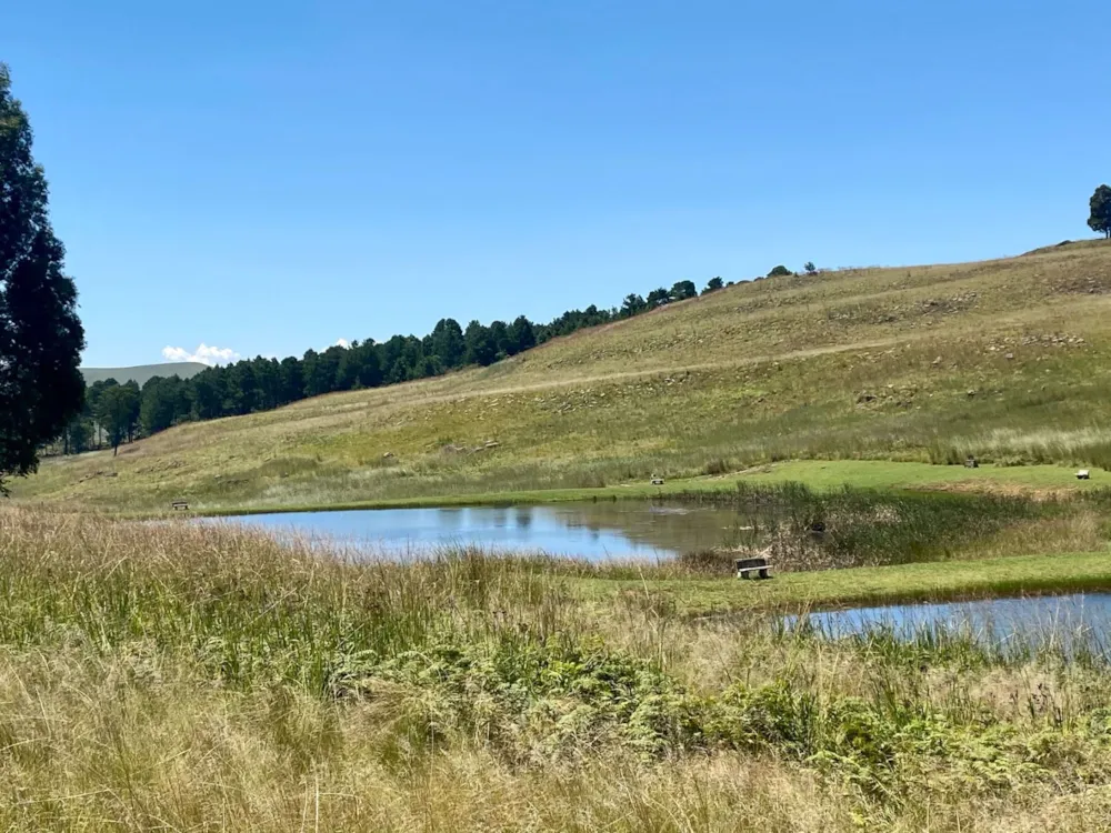 Vacant land sold in Dullstroom - 1DS1534208 Vacant land sold in Dullstroom - 1DS1534208