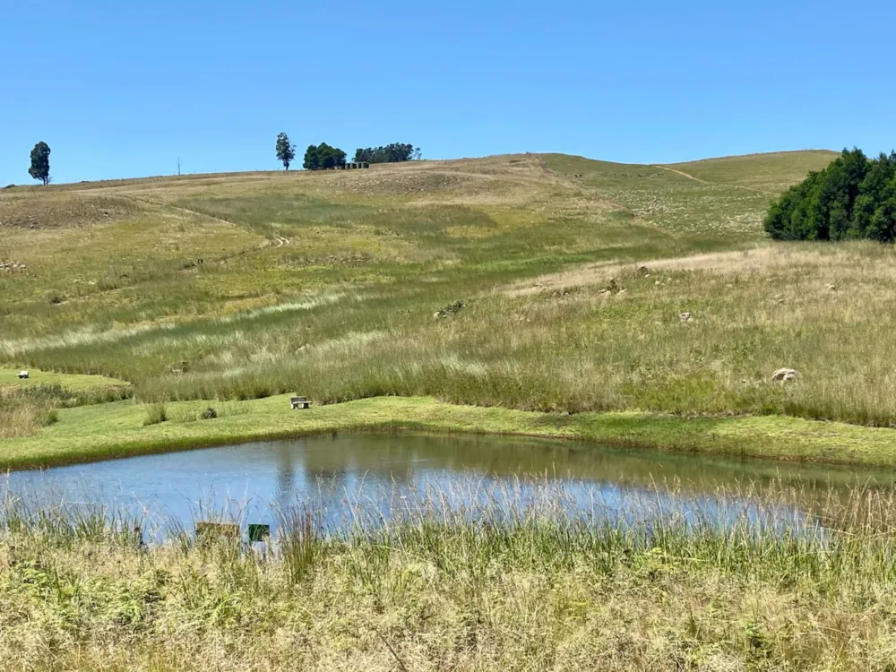 Vacant land sold in Dullstroom - 1DS1534208 Vacant land sold in Dullstroom - 1DS1534208