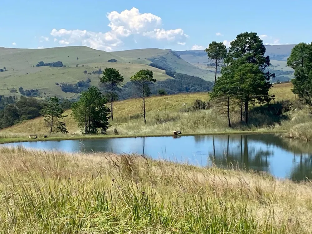 Vacant land sold in Dullstroom - 1DS1534208 Vacant land sold in Dullstroom - 1DS1534208