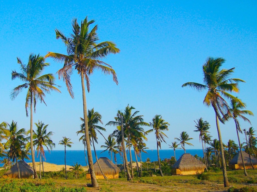 Resort for sale in Guinjata, Inhambane, Mozambique - 3MQ1534955