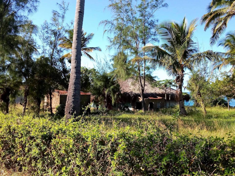 Vacant land for investment in Morrumbene, Mozambique - 3MQ1534957 Vacant land for investment in Morrumbene, Mozambique - 3MQ1534957