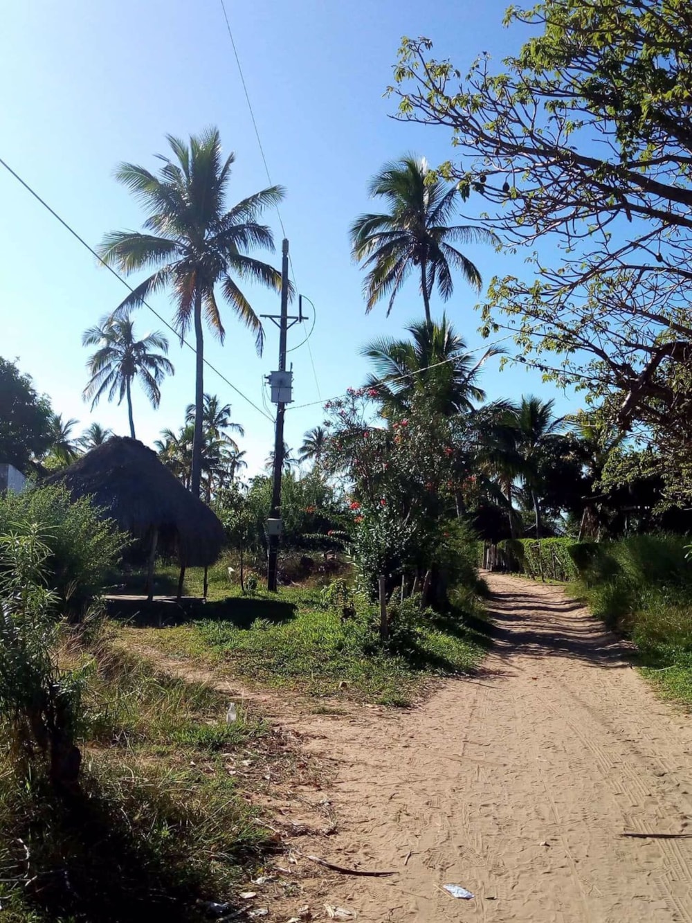 Vacant land for investment in Morrumbene, Mozambique - 3MQ1534957 Vacant land for investment in Morrumbene, Mozambique - 3MQ1534957