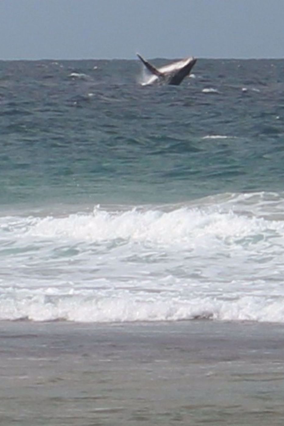 Vacant land for investment in Inharrime, Mozambique - 3MQ1535278