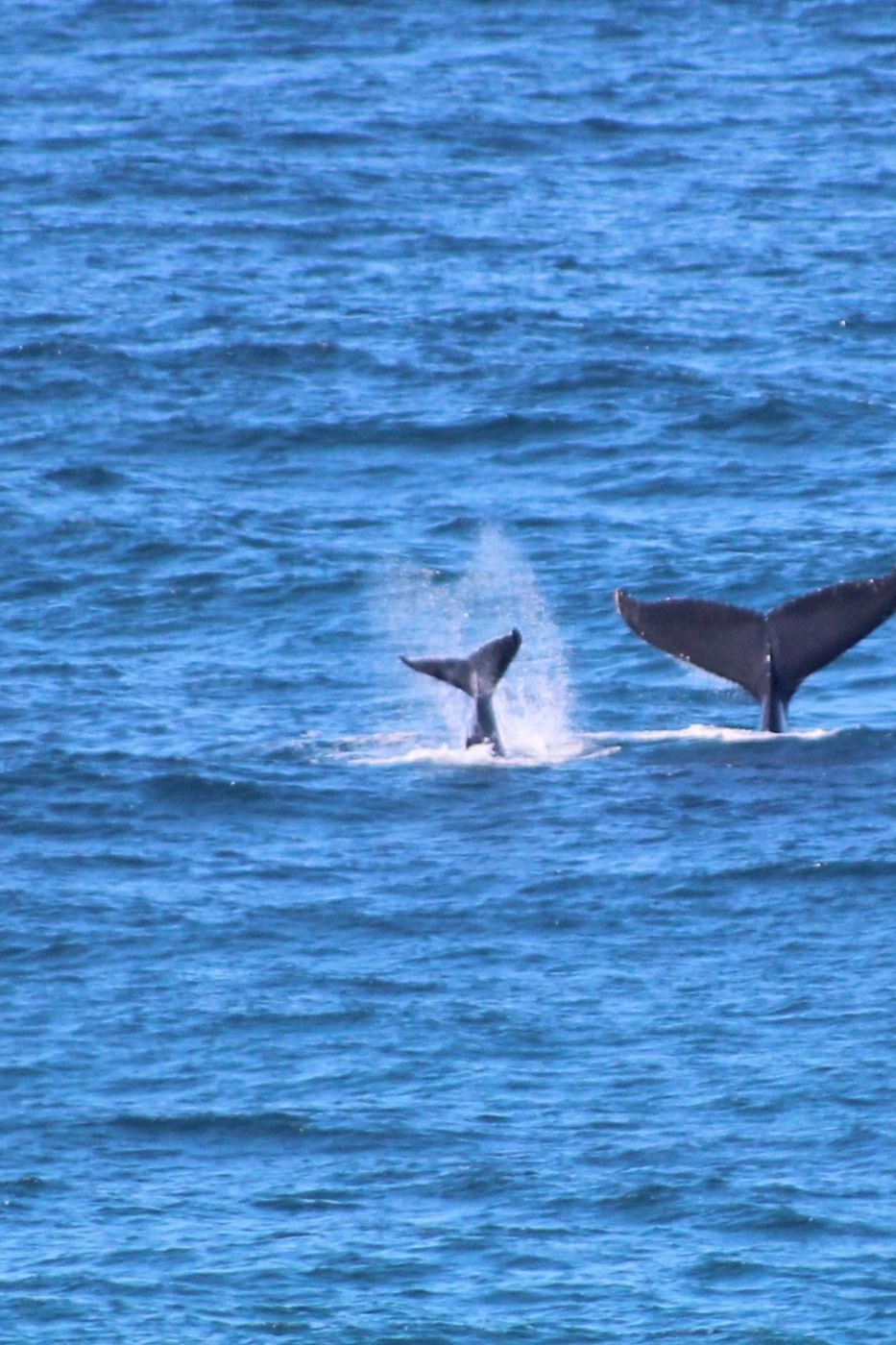 Vacant land for investment in Inharrime, Mozambique - 3MQ1535278