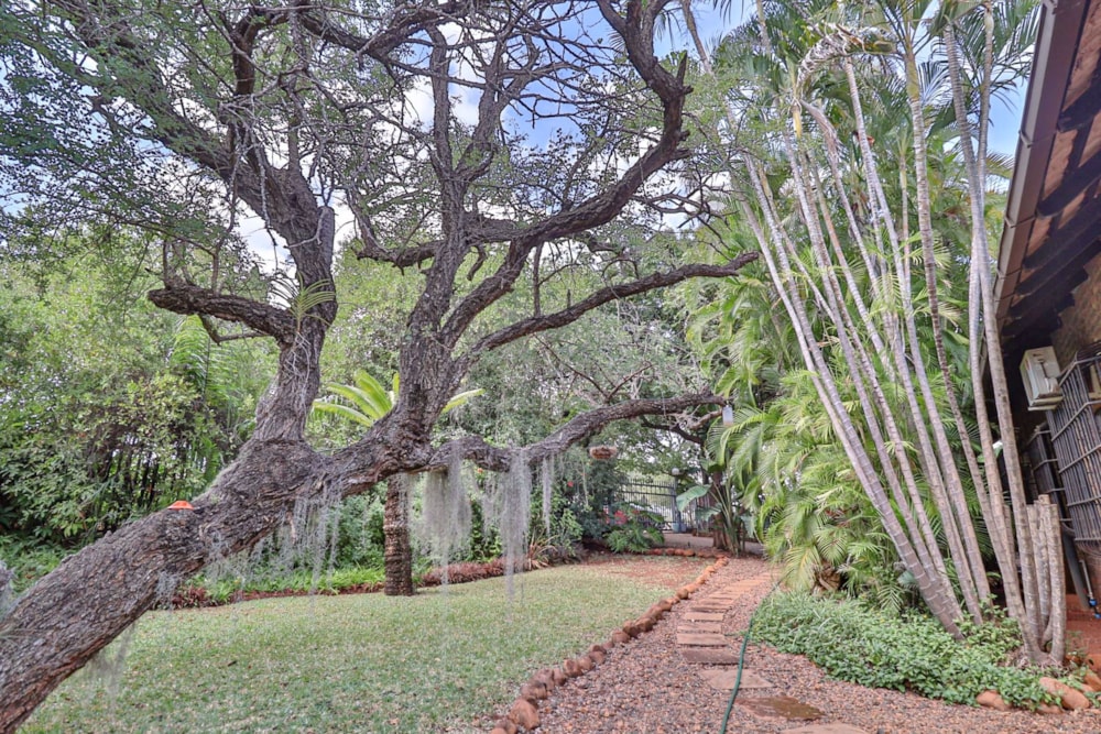 House for sale in Komatipoort - 1NK1524380 House for sale in Komatipoort - 1NK1524380