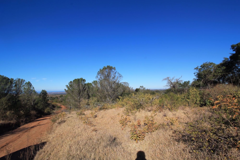 Vacant land for sale in Bathurst - 1PF1536240 Vacant land for sale in Bathurst - 1PF1536240