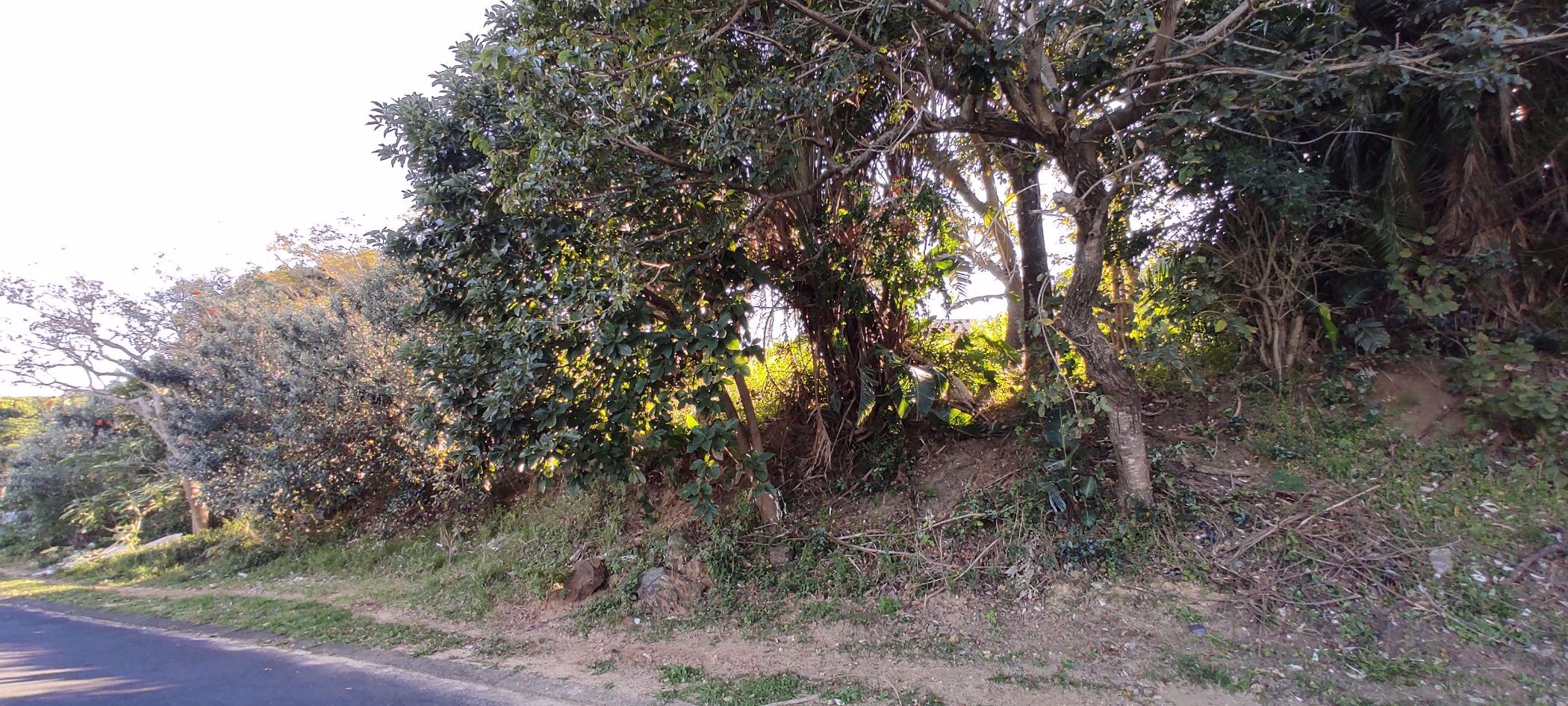 Residential vacant land for sale in Shelly Beach - 1PX1535508