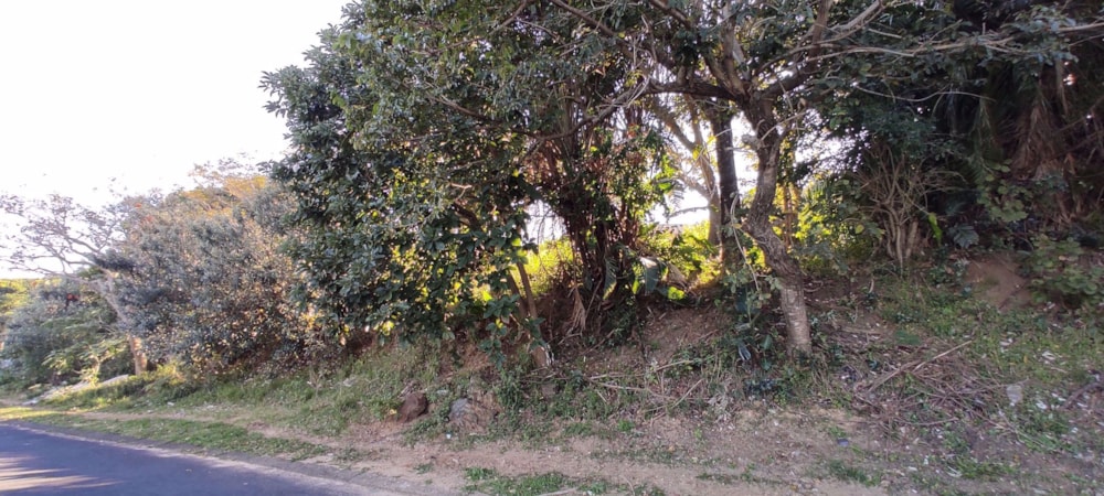 Residential vacant land for sale in Shelly Beach - 1PX1535508 Residential vacant land for sale in Shelly Beach - 1PX1535508