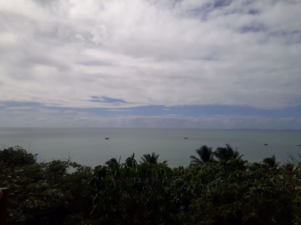 Vacant land for investment in Inhassoro, Mozambique - 3MQ1537260 Vacant land for investment in Inhassoro, Mozambique - 3MQ1537260