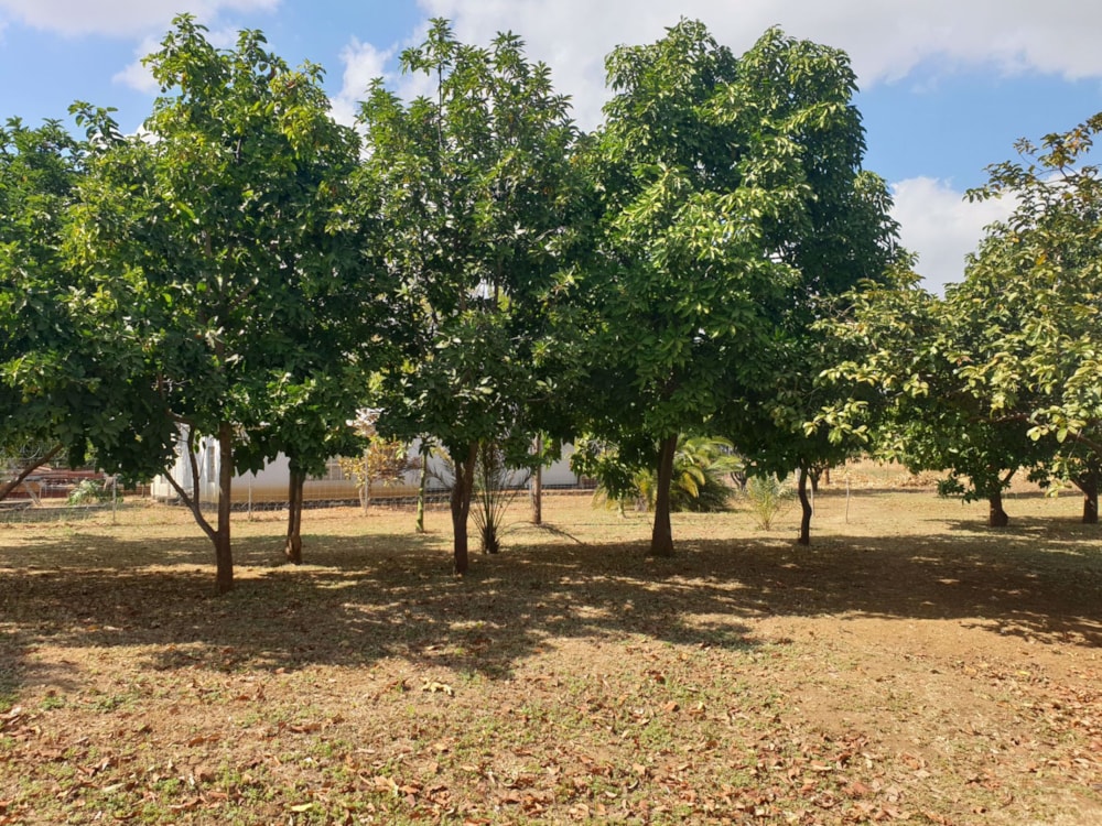 House for sale in Lilayi, Zambia - 3ZA1584575 House for sale in Lilayi, Zambia - 3ZA1584575