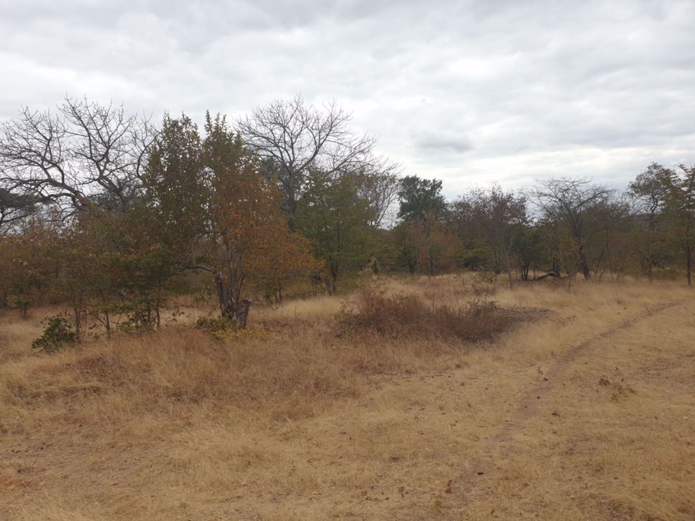 Commercial vacant land for sale in Chirundu, Zambia - 3ZA1537178 Commercial vacant land for sale in Chirundu, Zambia - 3ZA1537178