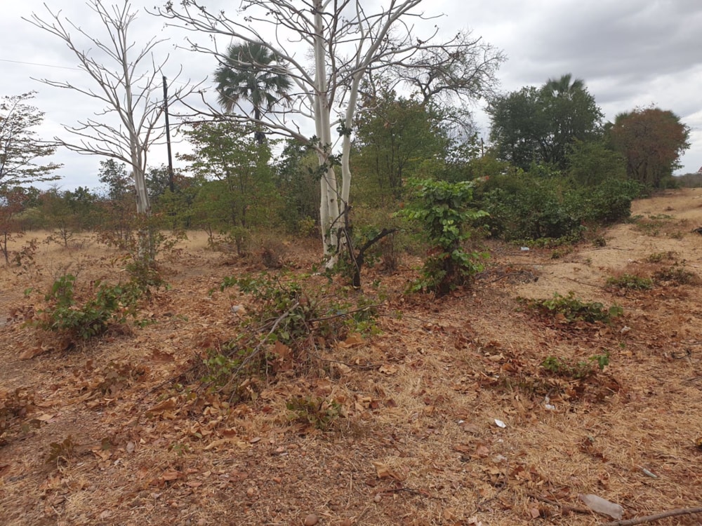 Commercial vacant land for sale in Chirundu, Zambia - 3ZA1537178 Commercial vacant land for sale in Chirundu, Zambia - 3ZA1537178