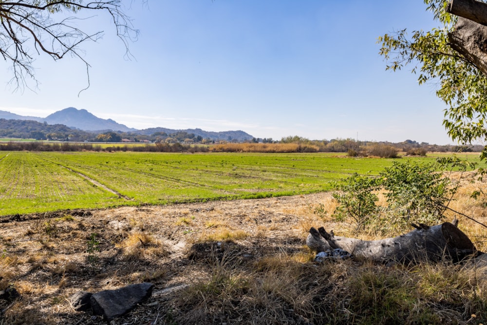 Mixed use farm for sale in Brits - 1HR1644788