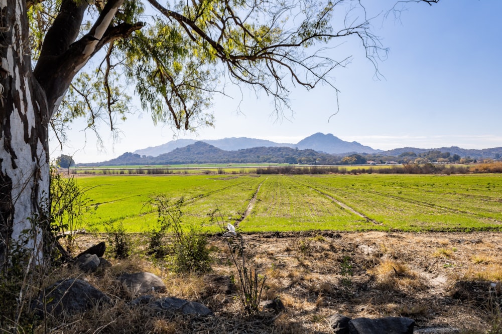 Mixed use farm for sale in Brits - 1HR1644788