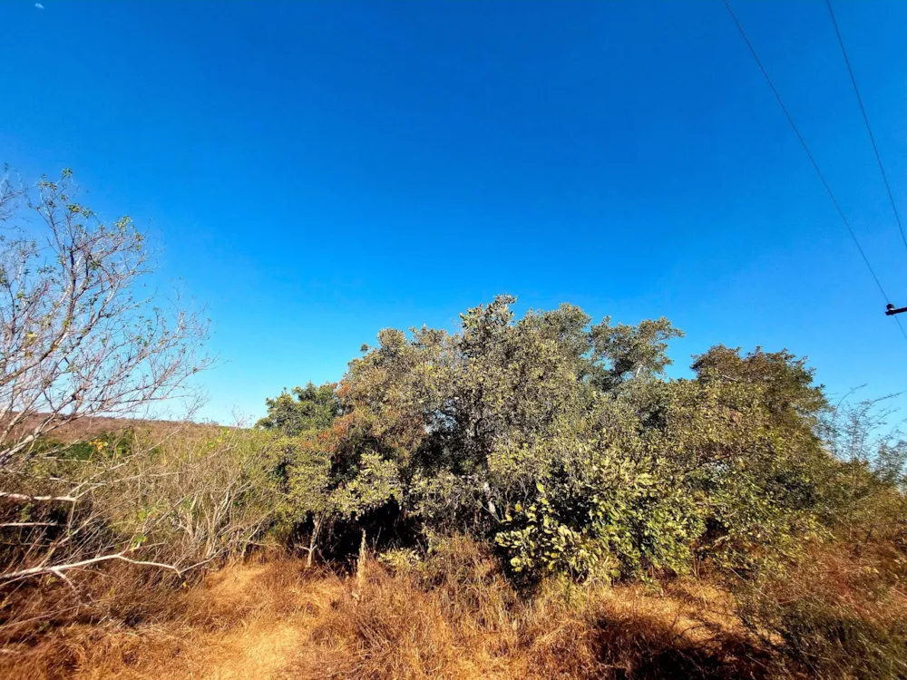 Vacant land for sale in Elephant Rock Eco Estate - 1HS1537688