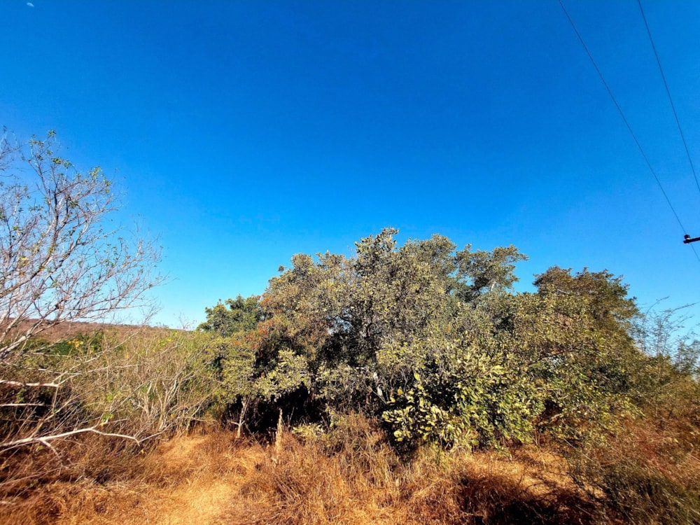 Vacant land for sale in Elephant Rock Eco Estate - 1HS1537688