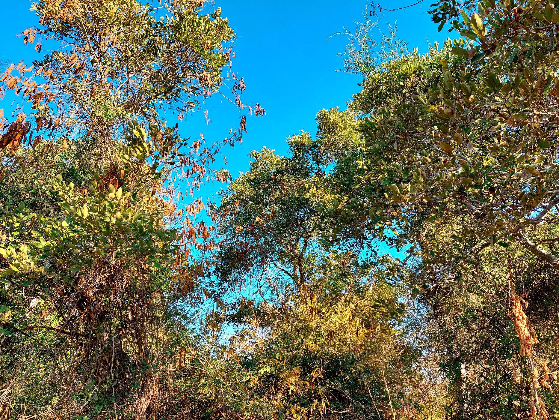 Vacant land for sale in Elephant Rock Eco Estate - 1HS1537688