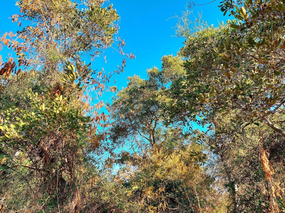 Vacant land for sale in Elephant Rock Eco Estate - 1HS1537688