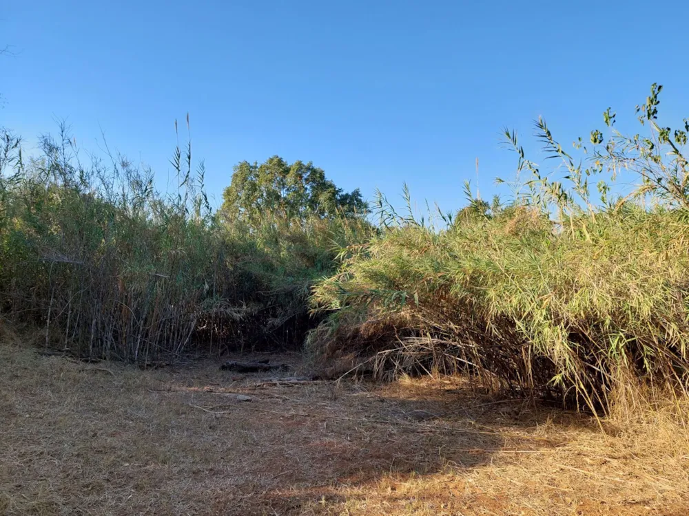 Vacant land for sale in Elephant Rock Eco Estate - 1HS1537688